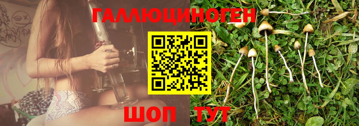 Вышний Волочёк  Галлюциногенные грибы ЛСД  Вход с VPN 